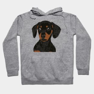 Close Up Dachshund Head for Dachshund Parents Hoodie